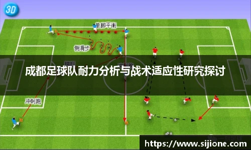 成都足球队耐力分析与战术适应性研究探讨